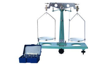 11002 Student balance