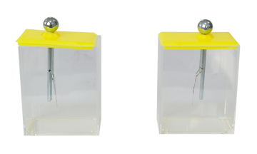 23006 Foil electroscope (students)