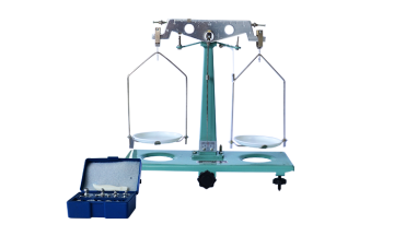 11002 student balance