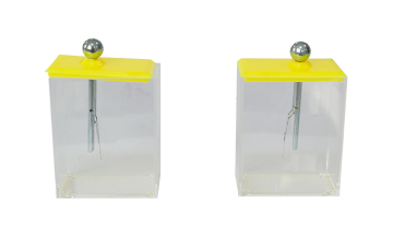 23006 foil electroscope (student)