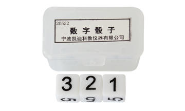 20522 Digital dice