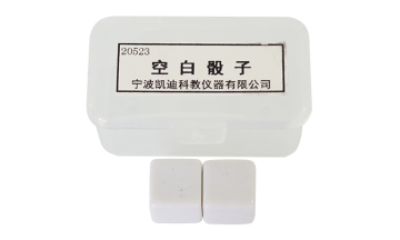 20523 Blank dice