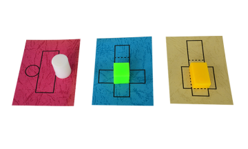 30508 Geometric surface area expansion model
